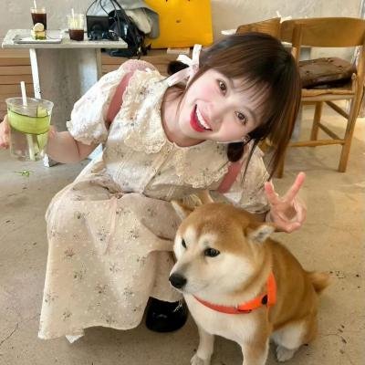 恋爱之歌